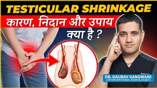 Understanding Testicular Shrinkage  Causes Symptoms and Treatment Options  Dr Gaurav Gangwani [upl. by Ahsaela]