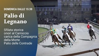 🔵 Palio di Legnano 2024 [upl. by Osgood]