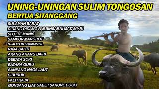 UNING UNINGAN GONDANG BATAK BERTUA SITANGGANG SULIM TONGOSAN [upl. by Aleen]