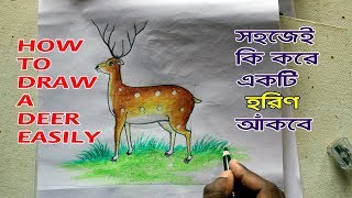 How to draw a deer step by step very easy [upl. by Virg]