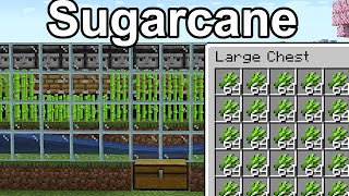 Sugarcane Farm Minecraft 121 [upl. by Hopkins996]