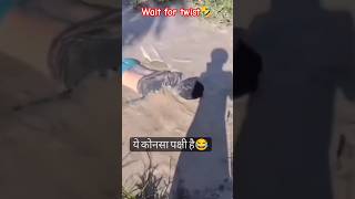 Bahut chali re matak trending shortsfeed funny youtubeshorts viralshort [upl. by Nosidda357]