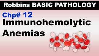 Ch12  Immunohemolytic Anemia  Coomb Test  Warm and Cold Antibodies Blood Pathology [upl. by Suzanna]