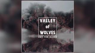 Valley of Wolves  Chosen One Official Audio [upl. by Luthanen]