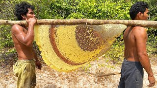 Primitive Technology Harvest Beehive and Honey by Brave Bushmen [upl. by Sivad343]