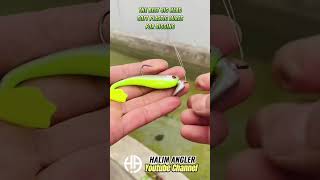 The best jig head soft plastic lure for jigging fishing bassfishing fishingknots softplastics [upl. by Lotsirb]