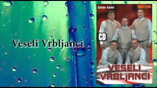 Veseli Vrbljanci  Direktor  Audio 2006 [upl. by John670]