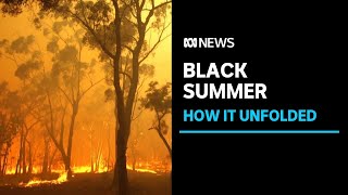 One year on ABC News looks back at how Australias Black Summer bushfire crisis unfolded  ABC News [upl. by Ailecec]