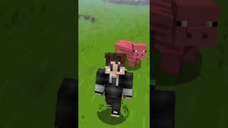 The BEST Minecraft Server Hosting Provider ad [upl. by Beilul934]