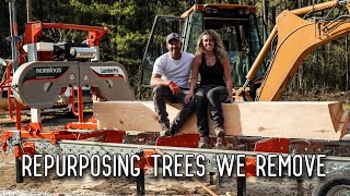 Milling Big Beautiful Timbers from Trees We Take Down  Norwood HD36 Portable Sawmill [upl. by Appleton]