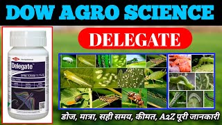 DOW DELEGATE INSECTICIDE  FULL DETAILS IN HINDI  Spinetoram 117 SC  AGRICULTURAL KNOWLEDGE📚 [upl. by Markson]