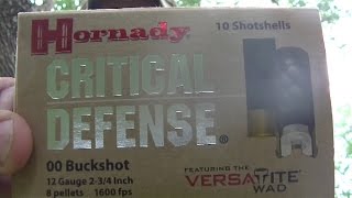 HORNADY CRITICAL DEFENSE 12g buckshot demo [upl. by Kcirad565]