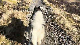 Harley climbing the devils staircase from Glencoe to Kinlochleven in HDR [upl. by Asiul]