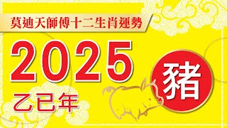 豬 莫迪天2025年12生肖運程  豬   廣東話字幕預約9143 4961 [upl. by Eve73]