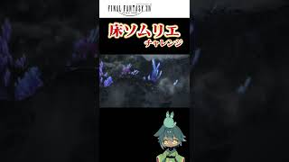 【FF14】今まで舐めた床の味を覚えてるか？床ソムリエチャレンジ３４【もち月兎】shorts ヒカセン新人vtuber vtuber ff14 [upl. by Lebyram602]