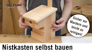 Mardersicheren Nistkasten selbst bauen – Bauplan und Anleitung im Blog [upl. by Ahsieki]