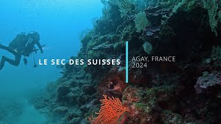 Diving at Le Sec des Suisses  Méditerranée France 2024 [upl. by Beitz370]