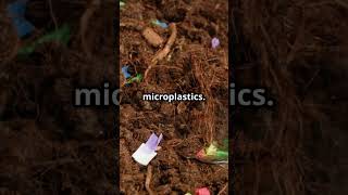 Impact of biodegradable plastic on environment knowledge facts [upl. by Aciraa]