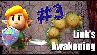 Jumping with a Hamburger Worm Legend of Zelda Links Awakening pt 3 [upl. by Ainigriv]