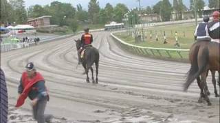 Most Dangerous Job in horse racing with amazing footage outriders [upl. by Nnyladnarb]