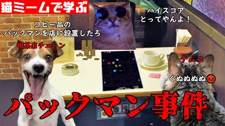 猫ミームで学ぶパックマン事件 猫マニ 猫ミーム [upl. by Wolcott]