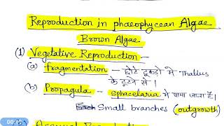 Reproduction in Phaeophyceae Brown Algae [upl. by Doti]