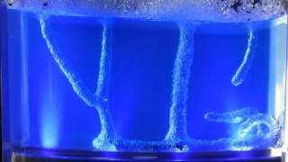 Time Lapsed Ant Farm  Tunnels in Antworks Space Gel Habitat [upl. by Mcbride240]