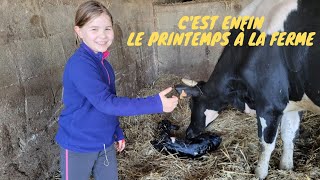 notre quotidien déleveurs 1024 cest enfin le printemps à la ferme [upl. by Ynamreg922]