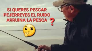 EL RUIDO EN LA PESCA DE PEJERREYES TE HACE FRACASARGracias Pescadores de Brasil🇧🇷🇧🇷🇧🇷 vivo 1242 [upl. by Namyl]