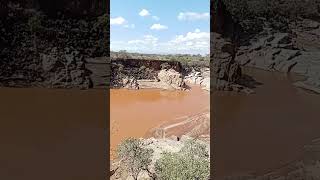 Lions Cave Camp Archers Post Samburu County 14th November 2024 [upl. by Acilef]