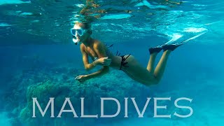 Amazing snorkeling in Maldives 2019 4k [upl. by Destinee257]