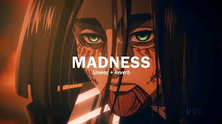 STIM  Madness  Slowed  Reverb   Lyrics [upl. by Collier]