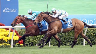 Hong Kong Gold Cup 2024 Race Replay [upl. by Jemine]