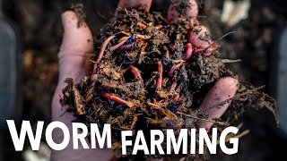 Vermicompost and Worm Breeding at Any Scale  Arizona Worm Farm [upl. by Elleined702]