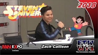 Zach Callison is Steven Universe  Fan Expo Canada 2018 Full Panel [upl. by Hudis]