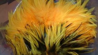 How to Dye Feathers Sunburst with Davie McPhail [upl. by Atilrahc]