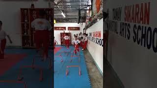 sikaran training filipinomartialarts philippinemartialarts [upl. by Eatnohs]