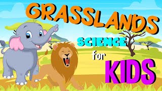 What are Grasslands  Science for Kids [upl. by Dreddy980]