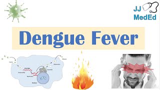 Dengue Fever  Pathophysiology Symptoms Diagnosis amp Treatment [upl. by Cissy]