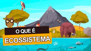 O que é um ECOSSISTEMA Saiba o que é um ecossistema marinho e terrestre [upl. by Olimac720]