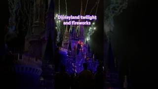 Disneyland Halloween 2024 shorts disneylandtokyo [upl. by Jenesia]