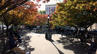 Exploring NYC in Autumn  Greenwich Village Little Island  4K HDR [upl. by Sarat]