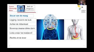 Webinar 37 Maagzuur een brandende kwestie [upl. by Gaiser]