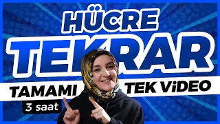 2 Hücre FULL TEKRAR   9 Sınıf Biyoloji  TYT Biyoloji Konu Anlatımı 2 [upl. by Bez846]