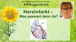 Herzinfarkt  Was passiert denn da [upl. by Pagas]