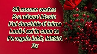 Sa născut Mesia  Negativ cu Versuri cover [upl. by Anerac]