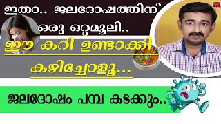 ഇതാ ജലദോഷത്തിന് ഒരു ഒറ്റമൂലിഈ കറി ഉണ്ടാക്കി കഴിച്ചോളൂജലദോഷം പമ്പ കടക്കും [upl. by Rick395]