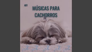 Música para Cachorro Dormir [upl. by Llednew]