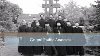 Grupul Psaltic Anastasis [upl. by Ikcaj983]