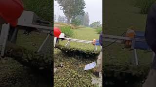 Fish pond duckweed feed collection process [upl. by Rossen]